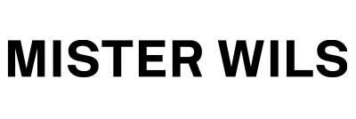 Logo MISTERWILLS