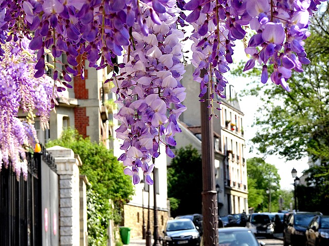 Oferta Francia Decoradora