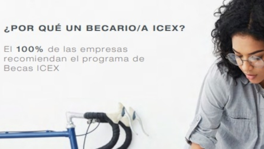 Becario Icex