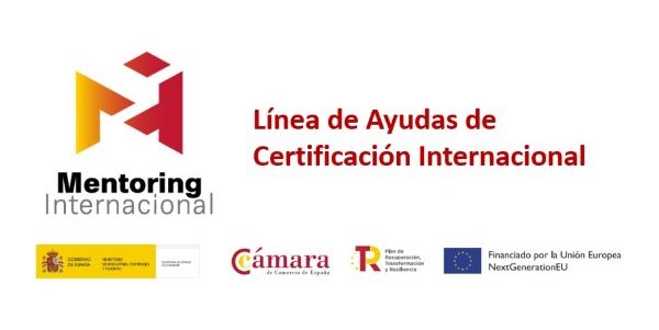 MENTORING 600X300 1