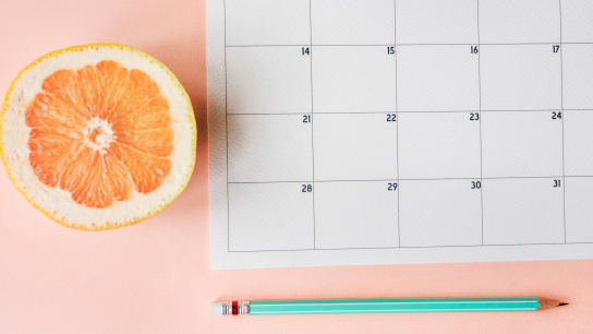 Calendar Appointment Agenda Schedule Planner