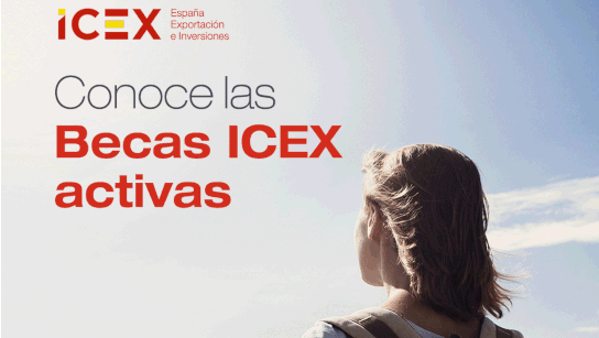 Foto Becas Icex